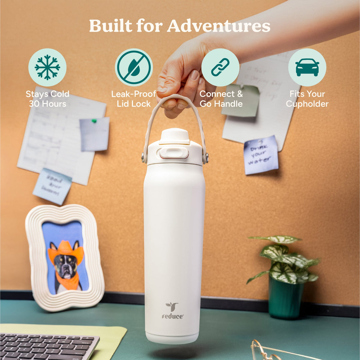 aura-26-oz-f5 Aura_26oz_Unbleached_PDP_Infographic_1.jpg