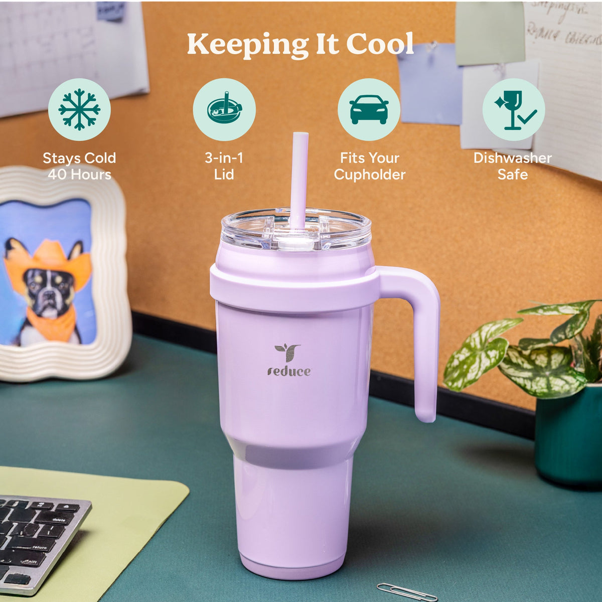 cold1-40-oz-u4 Cold1_40oz_PalmLeaf_Infographic_1.jpg
