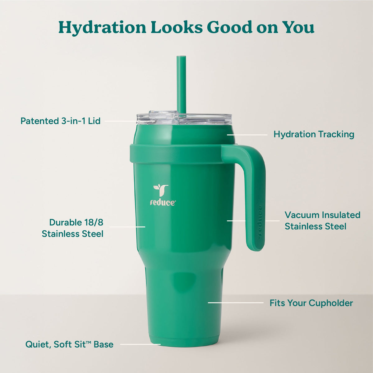 cold1-40-oz-u4 Cold1_40oz_PalmLeaf_Infographic_2.jpg