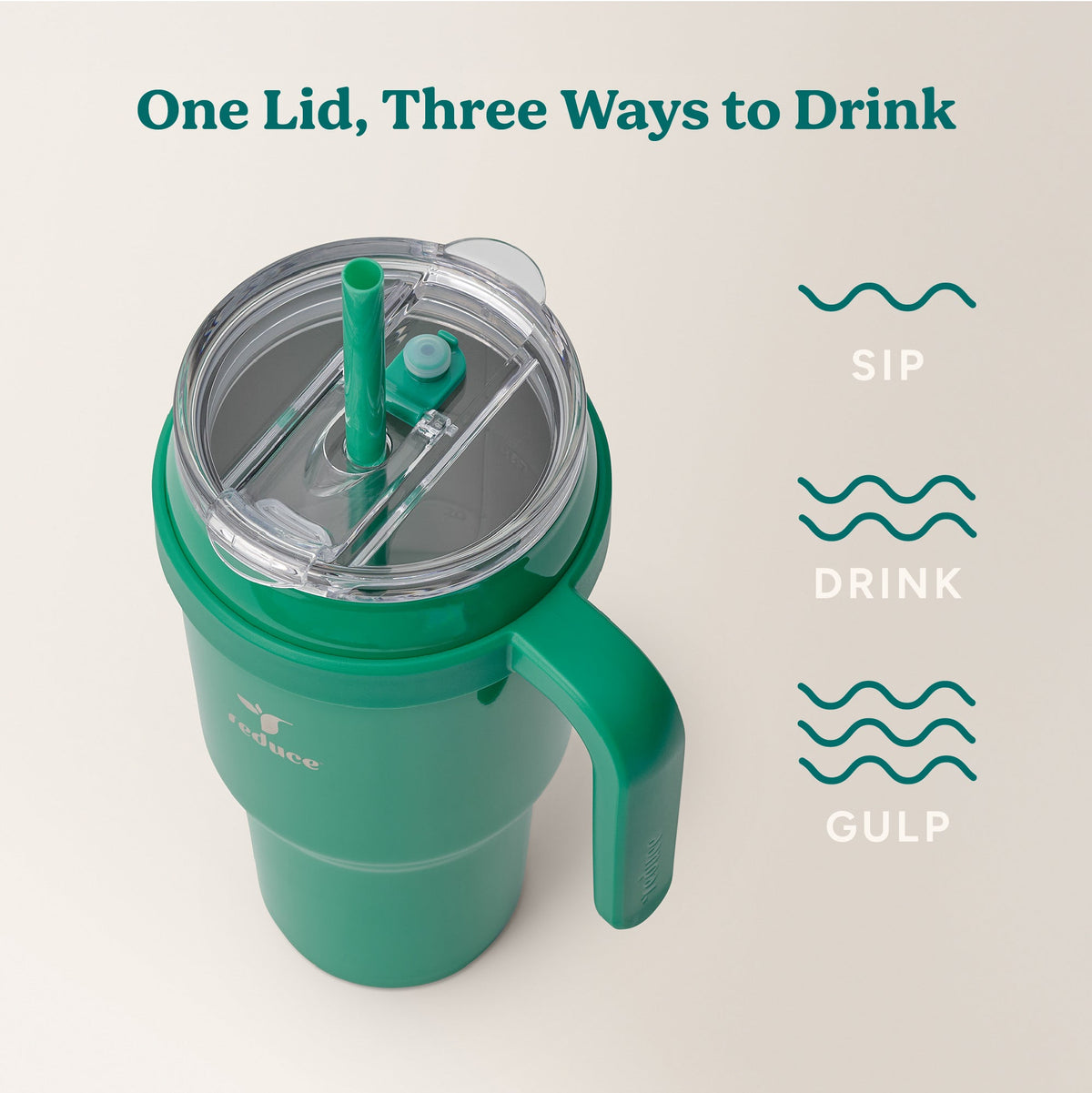 cold1-40-oz-u4 Cold1_40oz_PalmLeaf_Infographic_3.jpg